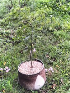 img 20250907 wa0001